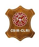 CLRI Chennai Recruitment 2024