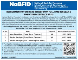 NaBFID Bank Senior Analyst Recruitment 2025